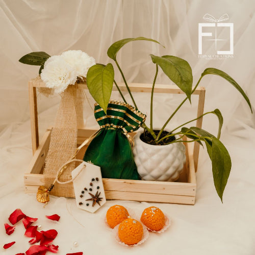 Plant Hampers